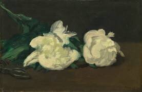 Branche de pivoines blanches et sécateur (Edouard Manet) - Muzeo.com