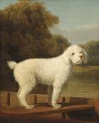 Caniche Blanc dans un Punt (George Stubbs) - Muzeo.com
