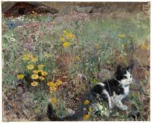 Chat dans un champ de fleurs (Bruno Liljefors) - Muzeo.com