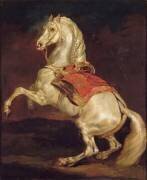 Cheval cabré dit Tamerlan (Théodore Géricault) - Muzeo.com