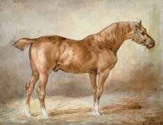 Cheval dans une écurie (Théodore Géricault) - Muzeo.com