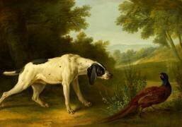 Chien à l'arrêt sur un faisan (Jean-Baptiste Oudry) - Muzeo.com