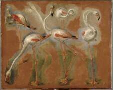 Cinq flamants roses (Pieter Boel) - Muzeo.com