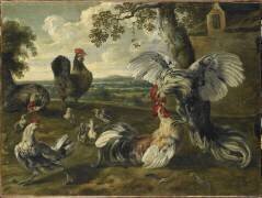 Combat de coqs et de poules (Pieter van Boucle) - Muzeo.com