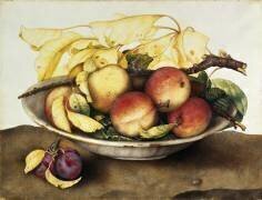 Coupe de pêches et prunes (Giovanna Garzoni) - Muzeo.com