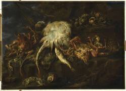 Divers poissons et araignées de mer (Felice Boselli) - Muzeo.com