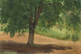 Étude de la lumière et des ombres (Rosa Bonheur) - Muzeo.com