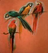 Etude de quatre perroquets (Pieter Boel) - Muzeo.com