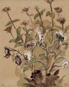 Etudes de fleurs (Eugène Delacroix) - Muzeo.com