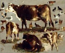 Études sur les vaches (Rosa Bonheur) - Muzeo.com