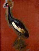 Grue à aigrette. Etude (Pieter Boel) - Muzeo.com