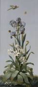 Iris de Florence, Aletris odorant, Amaryllis rayée (Pierre Joseph Redouté) - Muzeo.com
