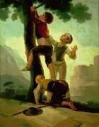 Jeunes garçons grimpant a l'arbre (Francisco de Goya) - Muzeo.com
