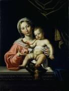 La Madone della Rosa (Le Dominiquin) - Muzeo.com