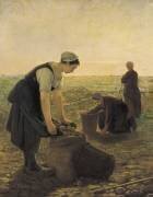 La récolte de pommes de terre (Ernest Masson) - Muzeo.com