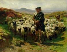 Le berger des Highlands (Rosa Bonheur) - Muzeo.com