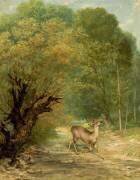 Le chevreuil chassé aux écoutes, le printemps (Gustave Courbet) - Muzeo.com