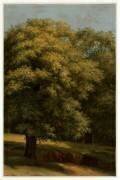 Le grand arbre (Pierre Henri de Valenciennes) - Muzeo.com