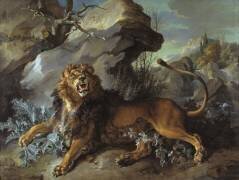 Le lion et la mouche (Jean-Baptiste Oudry) - Muzeo.com
