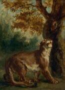 Le Puma, dit aussi Lionne guettant une proie (Eugène Delacroix) - Muzeo.com