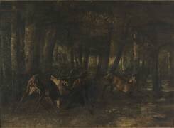 Le rut du printemps, combat de cerfs (Gustave Courbet) - Muzeo.com