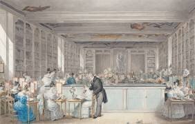 L'école de dessin botanique de Pierre-Joseph Redouté dans la salle Buffon du Jardin des Plantes (Julie Ribault) - Muzeo.com