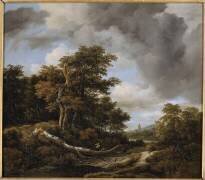 L'Entrée d'un bois (Jacob Isaakszoon van Ruisdael) - Muzeo.com