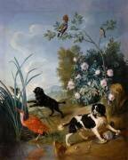 Les Chiens Zerbine et Jemite (Alexandre-François Desportes) - Muzeo.com