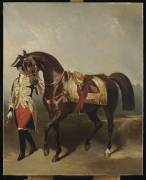 Lisa, jument favorite de Napoléon III (Alfred Dedreux (d'après)) - Muzeo.com