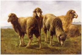 Moutons broutant dans une prairie (Rosa Bonheur) - Muzeo.com