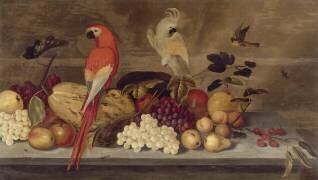 Nature morte aux perroquets (Ambrosius Bosschaert) - Muzeo.com