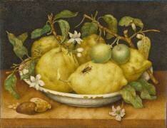 Nature morte avec un bol de citrons (Giovanna Garzoni) - Muzeo.com
