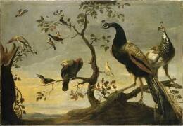 Oiseaux sur des branches (Frans Snyders) - Muzeo.com