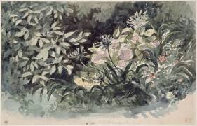 Parterre de fleurs avec hortensias roses, scylles bleutés et anémones rouges (Eugène Delacroix) - Muzeo.com