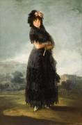 Portrait de Mariana Waldstein, neuvième marquise de Santa Cruz (Francisco de Goya) - Muzeo.com