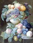 Raisins dans une coupe (Pierre Joseph Redouté) - Muzeo.com