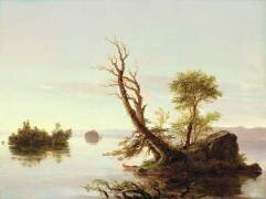 Scène de lac américaine (Thomas Cole) - Muzeo.com