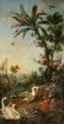 Singes et cygnes (Christophe Huet) - Muzeo.com