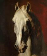Tête de cheval blanc (Théodore Géricault) - Muzeo.com