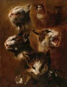 Têtes de chats, un lapin, une tête de chèvre (Pieter Boel) - Muzeo.com