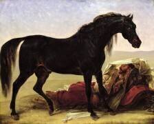 Un cheval arabe (Antoine-Jean Gros) - Muzeo.com