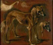 Un chien de Barbarie. Etude. (Pieter Boel) - Muzeo.com