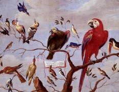 Un choeur d'oiseaux (Jan van Kessel) - Muzeo.com