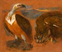 Un vautour et un aigle, étude (Pieter Boel) - Muzeo.com
