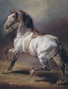 Une étude d'un cheval (Théodore Géricault) - Muzeo.com