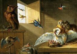 Une famille de hiboux (Jan van Kessel) - Muzeo.com