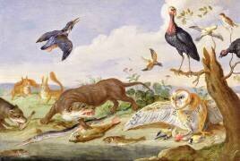 Une loutre et un hibou gardant leurs prises (Jan van Kessel) - Muzeo.com