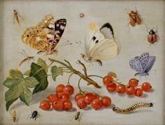 Une nature morte avec un brin de groseilles (Jan van Kessel) - Muzeo.com