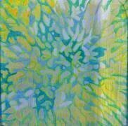 Acrapora (Charlotte Johnstone) - Muzeo.com