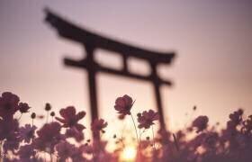 Automne mélancolique (Koji Tajima) - Muzeo.com